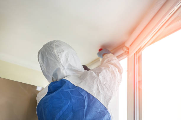 Best Biohazard Mold Removal  in San Ysidro, NM