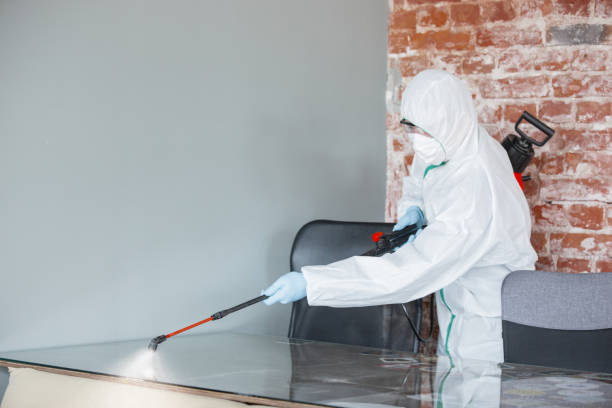 Environmental Consulting for Mold Prevention in San Ysidro, NM